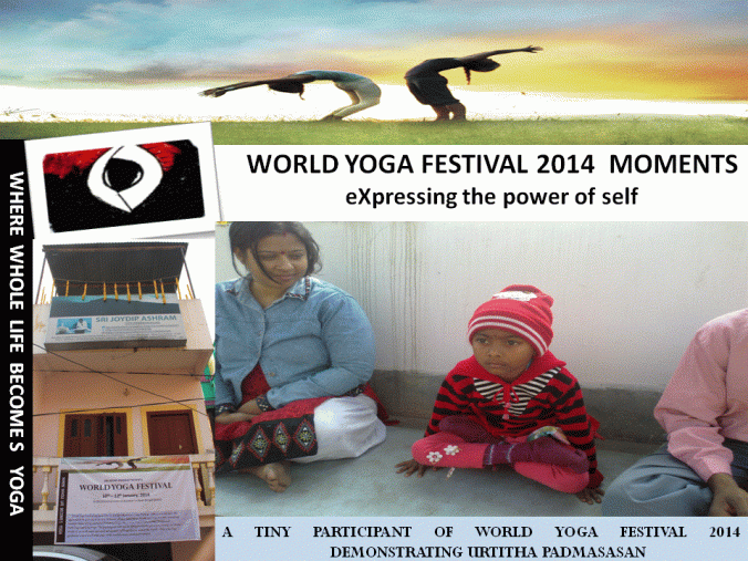 World_Yoga_Festival_moments